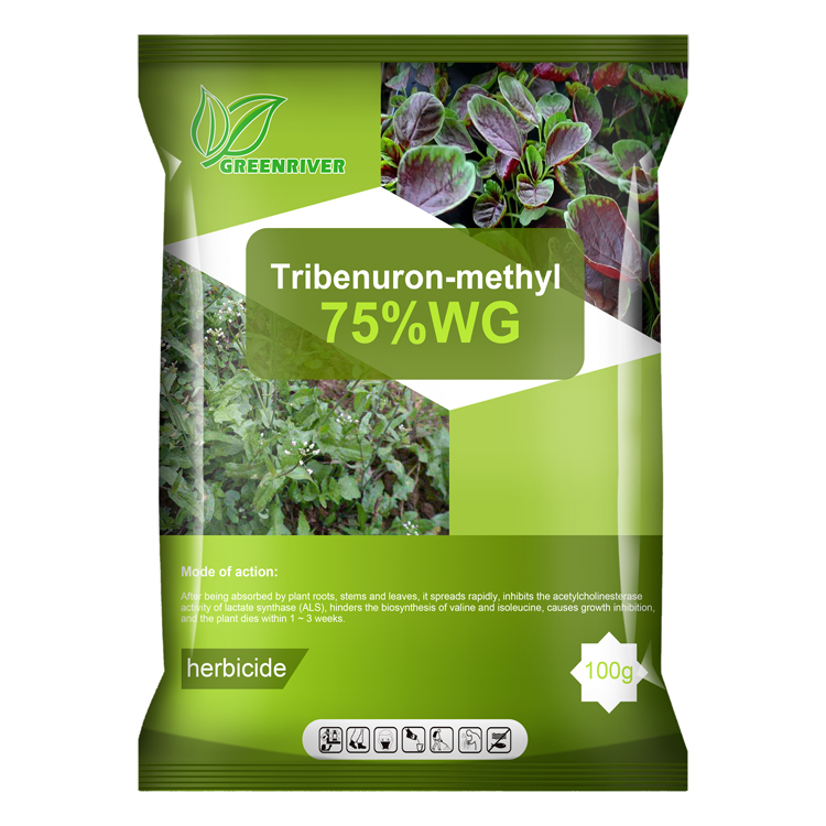 Tribenuron / Metsulfuron methyl Selective Herbicides 101200-48-0 / 74223-64-6